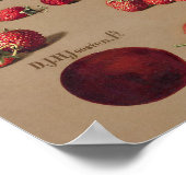 Vintage botanische Illustration Poster (Ecke)