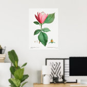 Vintage botanische Illustration Poster (Heimbüro)