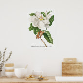 Vintage botanische Illustration Poster (Küche)