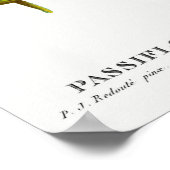 Vintage botanische Illustration Poster (Ecke)