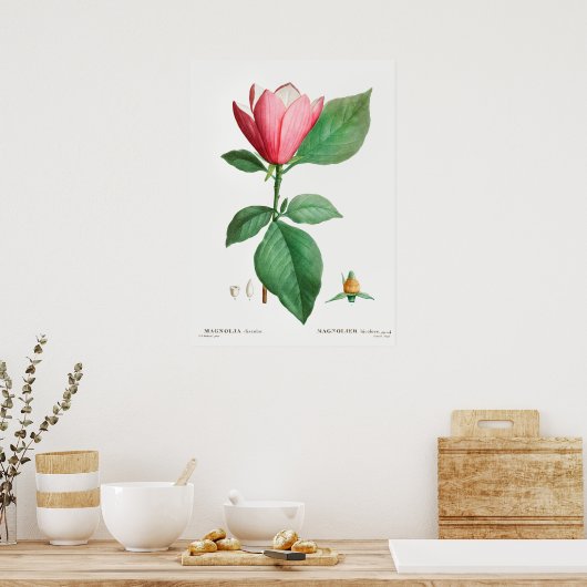 Vintage botanische Illustration Poster (Küche)