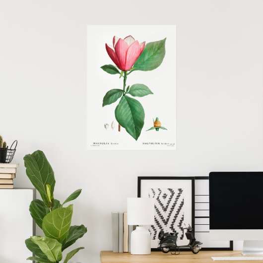 Vintage botanische Illustration Poster (Heimbüro)