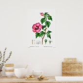 Vintage botanische Illustration Poster (Küche)