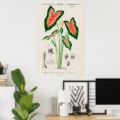 Vintage botanische Illustration Poster (Heimbüro)