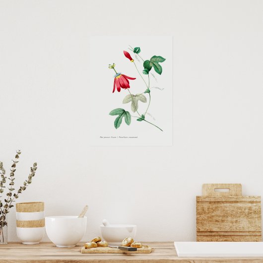 Vintage botanische Illustration Poster (Küche)