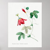 Vintage botanische Illustration Poster (Vorne)