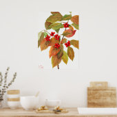 Vintage botanische Illustration Poster (Küche)