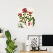 Vintage botanische Illustration Poster (Heimbüro)