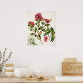 Vintage botanische Illustration Poster (Küche)