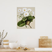 Vintage botanische Illustration Poster (Küche)