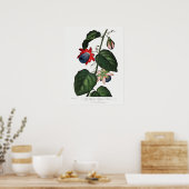 Vintage botanische Illustration Poster (Küche)