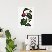 Vintage botanische Illustration Poster (Heimbüro)
