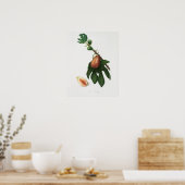 Vintage botanische Illustration Poster (Küche)