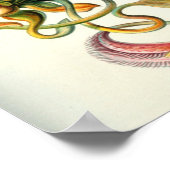 Vintage botanische Illustration Poster (Ecke)