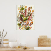 Vintage botanische Illustration Poster (Küche)