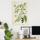 Vintage botanische Illustration Poster (Heimbüro)