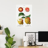 Vintage botanische Illustration Poster (Heimbüro)