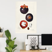 Vintage botanische Illustration Poster (Heimbüro)