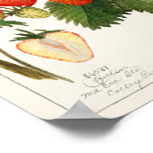 Vintage botanische Illustration Poster (Ecke)