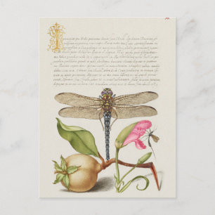 Vintage botanische Illustration Postkarte