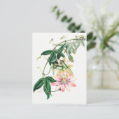 Vintage botanische Illustration Postkarte (Stehend Vorderseite)