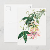 Vintage botanische Illustration Postkarte (Vorne/Hinten)