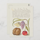 Vintage botanische Illustration Postkarte (Vorne/Hinten)