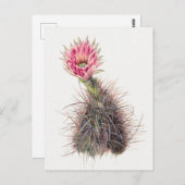Vintage botanische Illustration Postkarte (Vorne/Hinten)
