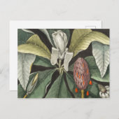 Vintage botanische Illustration Postkarte (Vorne/Hinten)