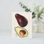 Vintage botanische Illustration Postkarte (Stehend Vorderseite)