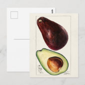 Vintage botanische Illustration Postkarte (Vorne/Hinten)