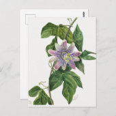 Vintage botanische Illustration Postkarte (Vorne/Hinten)