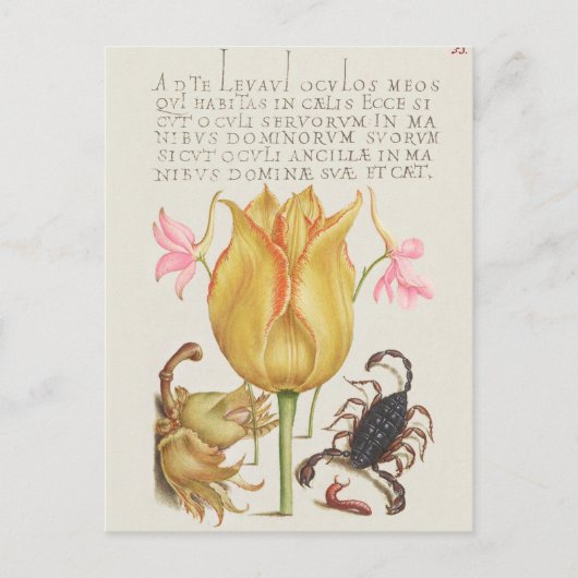 Vintage botanische Illustration Postkarte (Vorderseite)