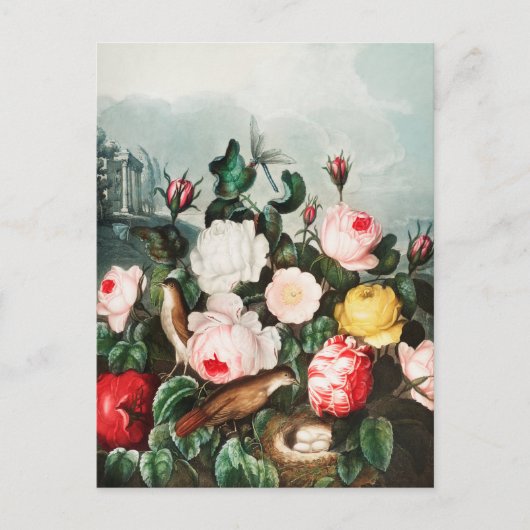 Vintage botanische Illustration Postkarte (Vorderseite)