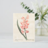 Vintage botanische Illustration Postkarte (Stehend Vorderseite)