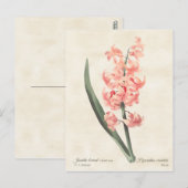 Vintage botanische Illustration Postkarte (Vorne/Hinten)