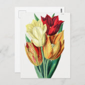 Vintage botanische Illustration Postkarte (Vorne/Hinten)