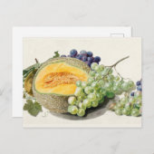 Vintage botanische Illustration Postkarte (Vorne/Hinten)