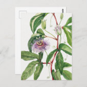 Vintage botanische Illustration Postkarte (Vorne/Hinten)