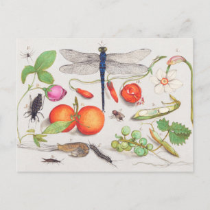 Vintage botanische Illustration Postkarte
