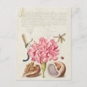 Vintage botanische Illustration Postkarte