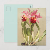 Vintage botanische Illustration Postkarte (Vorne/Hinten)