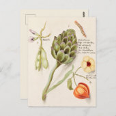 Vintage botanische Illustration Postkarte (Vorne/Hinten)
