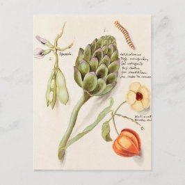 Vintage botanische Illustration Postkarte