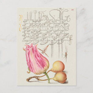 Vintage botanische Illustration Postkarte