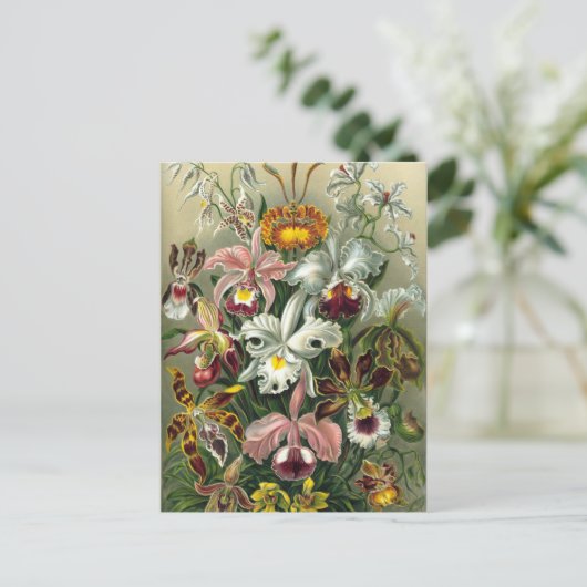 Vintage botanische Illustration Postkarte (Stehend Vorderseite)
