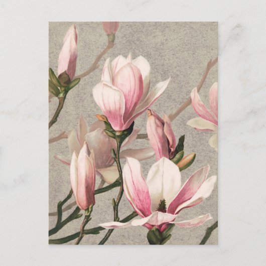 Vintage botanische Illustration Postkarte (Vorderseite)