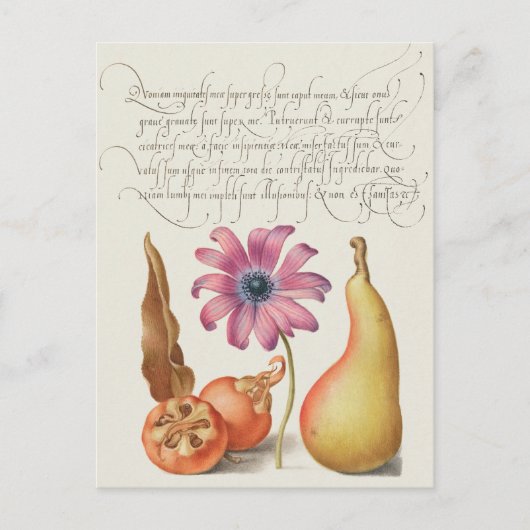 Vintage botanische Illustration Postkarte (Vorderseite)