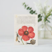 Vintage botanische Illustration Postkarte (Stehend Vorderseite)