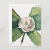 Vintage botanische Illustration Postkarte (Vorne/Hinten)